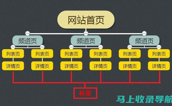 网站结构与内容优化在SEO中的关键作用